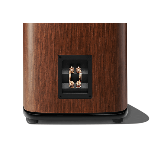 Dual sets of gold-plated binding posts with shorting straps.